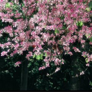 3p宫交h撑裂了h太深了
